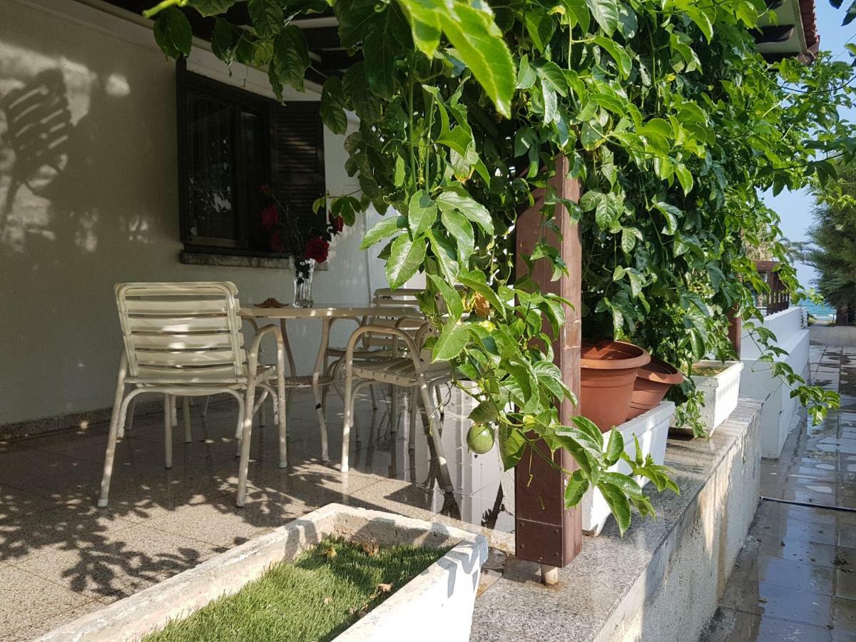 Sandy Beach Apartment 3 Вороклини Экстерьер фото